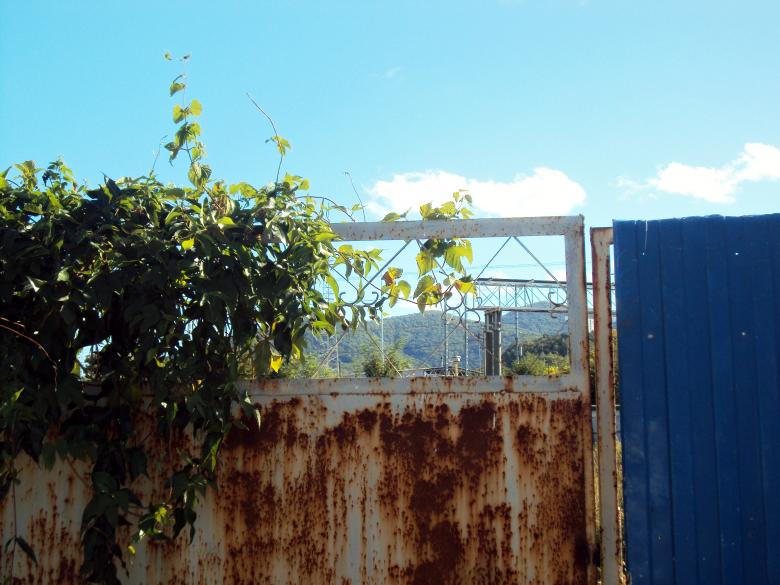 Free stock image of Rusty fence and climbing plants created by NomeVizualizzato