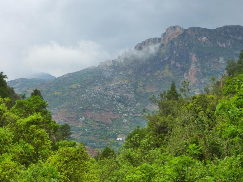 Free stock image of Ashur Park inside the countryside mountains created by MOSTAFA SAHNONI