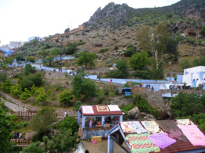 Free stock image of Chefchaouen is a green city created by MOSTAFA SAHNONI