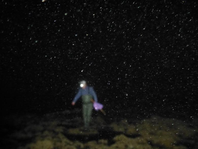 Free stock image of Fishing in the dark created by MOSTAFA SAHNONI