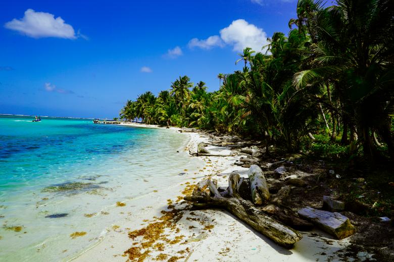 Free stock image of Beautiful dream beach close to the ocean created by Aljoscha Laschgari