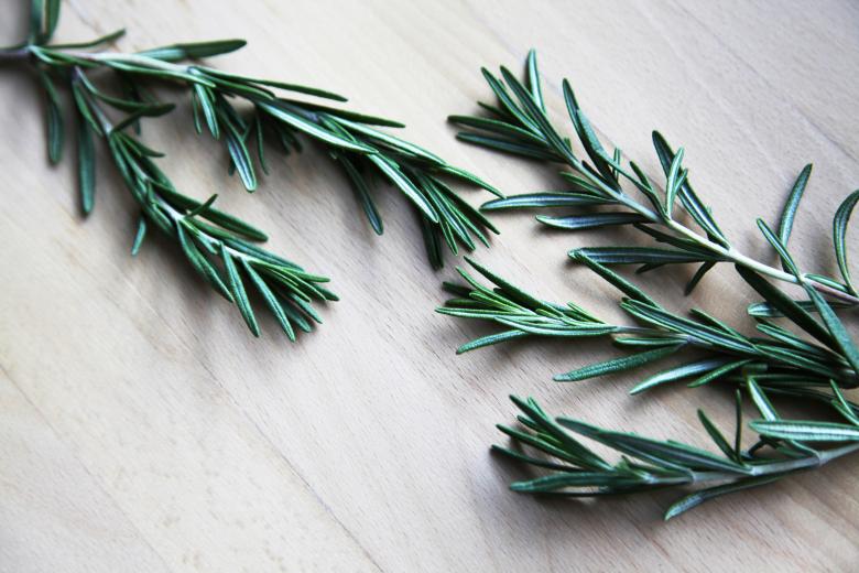 Free stock image of Rosemary Herbs created by Nika Akin