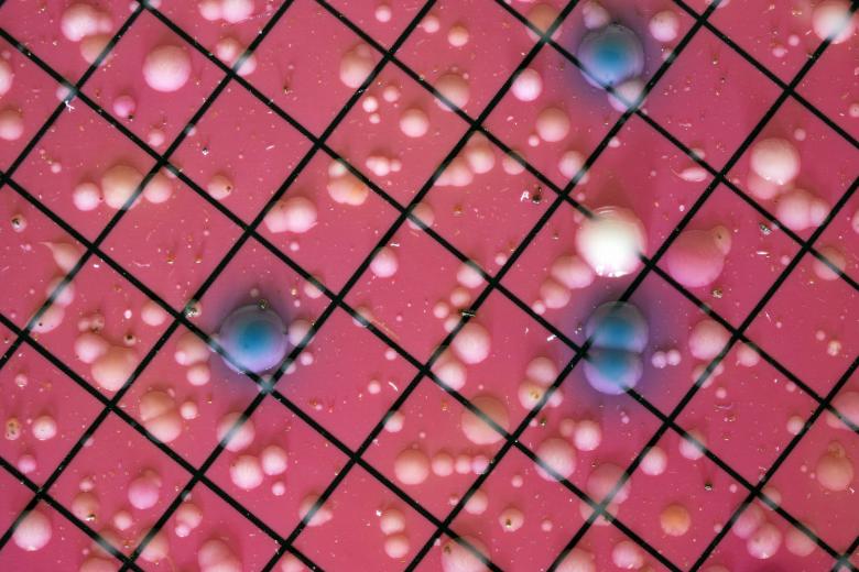 Free stock image of Bacterial Colonies created by Geoffrey Whiteway