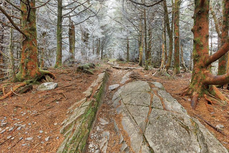 Free stock image of Appalachian Frost Trail created by Nicolas Raymond