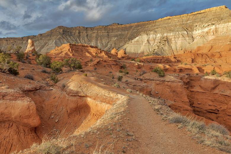 Free stock image of Golden Valkyrie Trail created by Nicolas Raymond