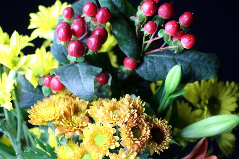 Free stock image of Red berries and flowers created by vera reece