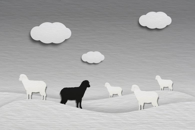 Free stock image of Black Sheep - Not Belonging created by Jack Moreh