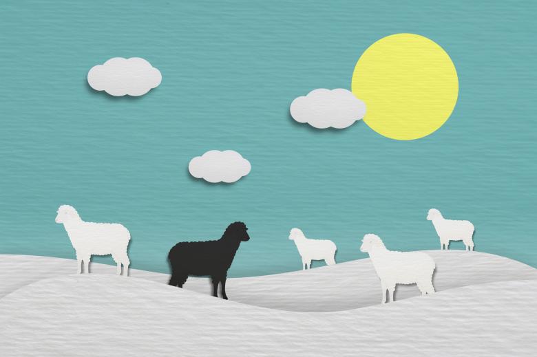 Free stock image of Unsuited - Black Sheep - Not Belonging created by Jack Moreh