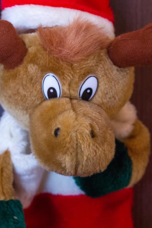 Free stock image of Plush Christmas Toy created by Alen