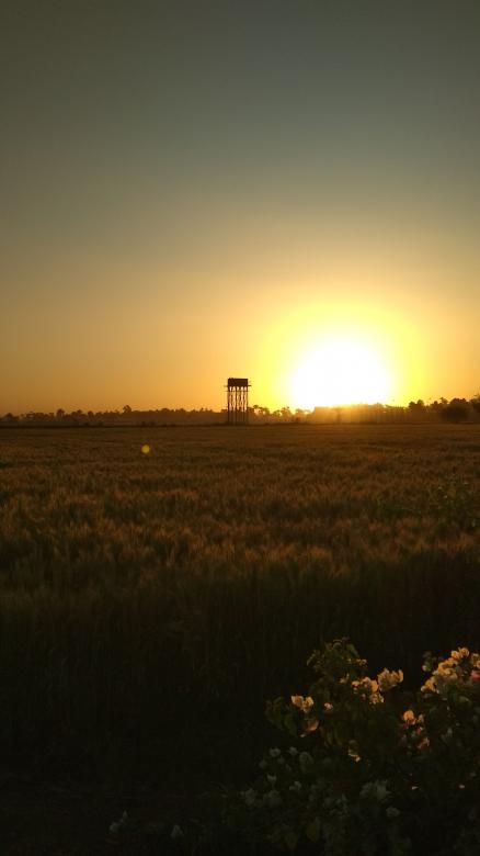 Free stock image of Sunset Behind Water Tower created by BasSem