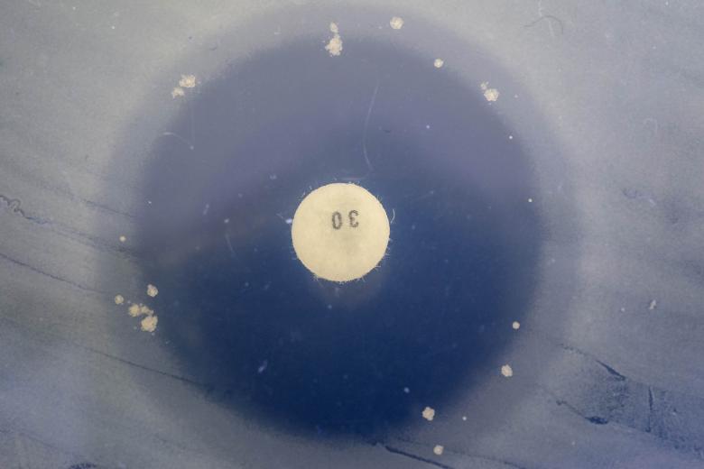 Free stock image of Zone on Inhibition created by Geoffrey Whiteway