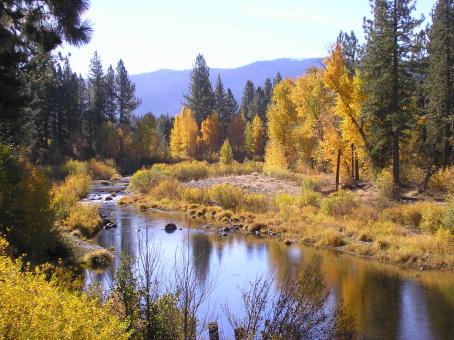 Stunning nature - Free Stock Photo