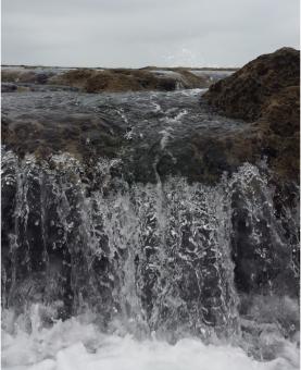 The sea close up - Free Stock Photo