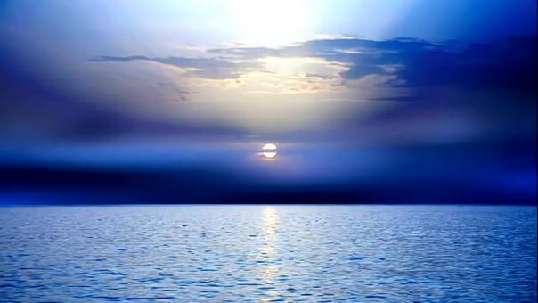 Dazzling nature - Free Stock Photo