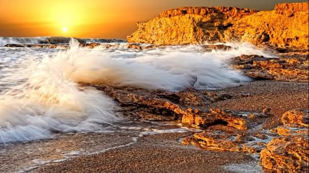 The Sea Shore - Free Stock Photo