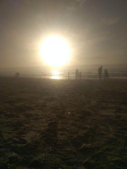 Silhouette of People at the Beach - Free Stock Photo