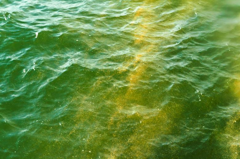 Free stock image of Green yellow water in summer created by Nadezhda