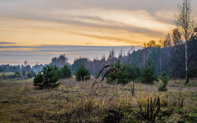 Free stock image of Ending sunset over the meadow created by Krzysztof Bubel