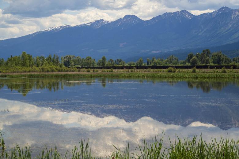Free stock image of Cattail Wetlands created by Geoffrey Whiteway