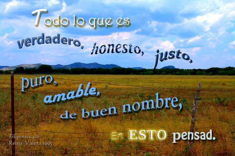 Free stock image of En Esto Pensad created by DFNatureAwed