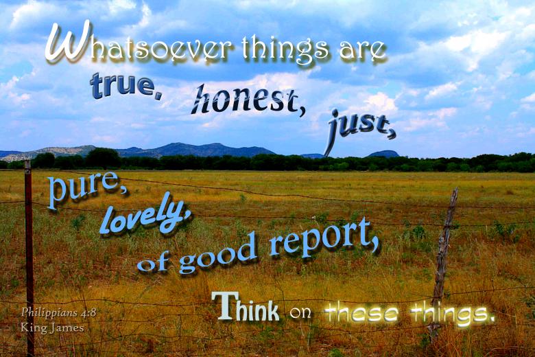 Free stock image of Think on These Things created by DFNatureAwed