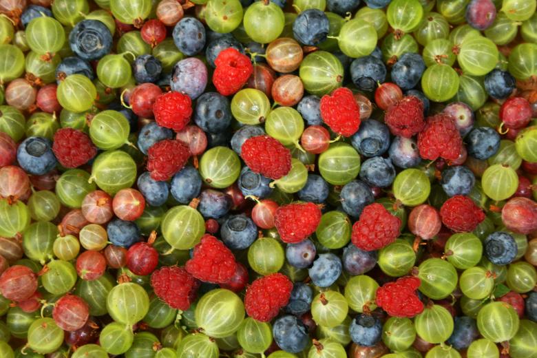 Free stock image of Summer Berries created by Kamala Saraswathi