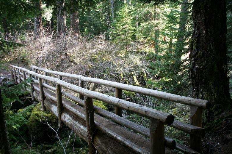 Free stock image of Lonely Wooden Walking Bridge created by Kamala Saraswathi