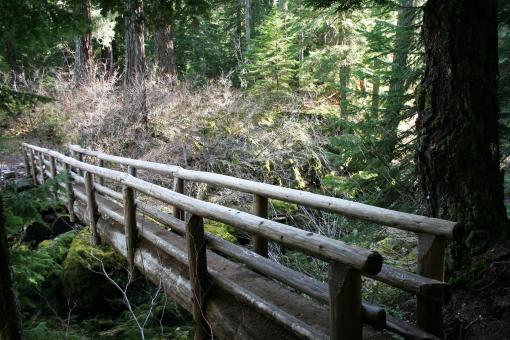 Lonely Wooden Walking Bridge - Free Stock Photo