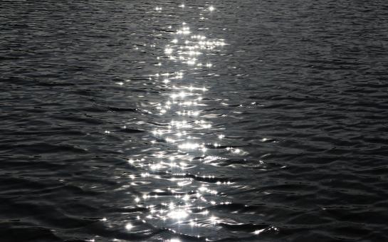 Black and White Water Surface - Free Stock Photo