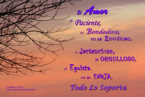 Free Stock Photo of El Amor es
