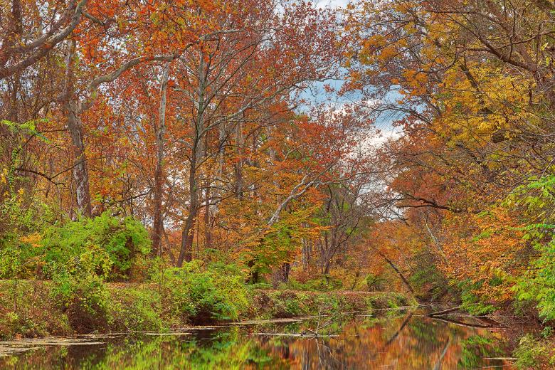 Free stock image of Autumn Canal - Swains Lock created by Nicolas Raymond
