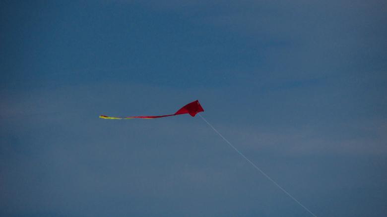 Free stock image of Red Kite created by Michiru Maeda