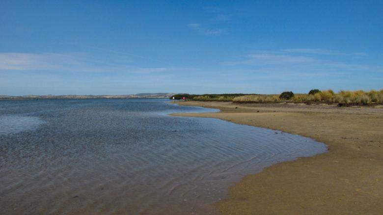 Free stock image of Tide Coming in at the Beach created by Michiru Maeda