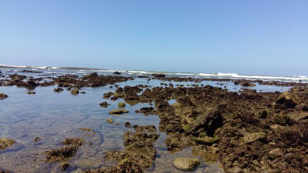 Morocco Beach - Free Stock Photo
