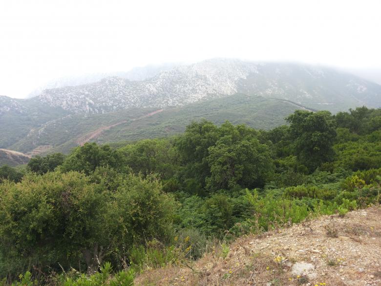 Free stock image of Morocco Nature created by Hassan JAB