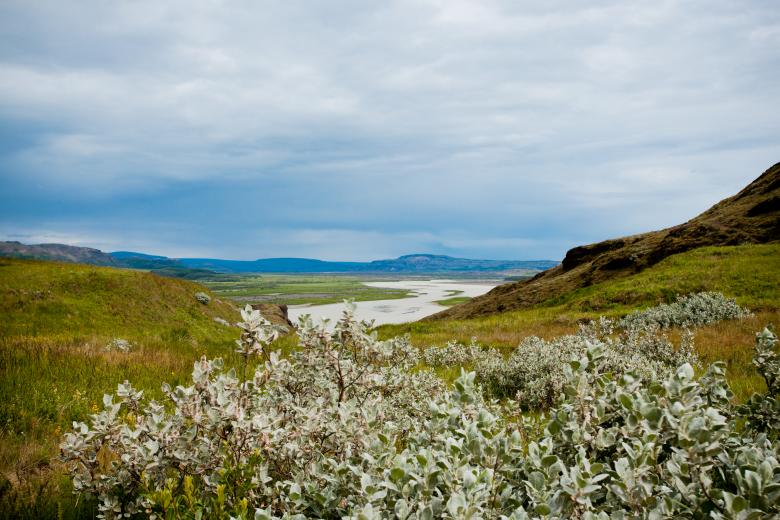Free stock image of Green Shrubs and Icelandic Valley Landscape created by Bjorgvin