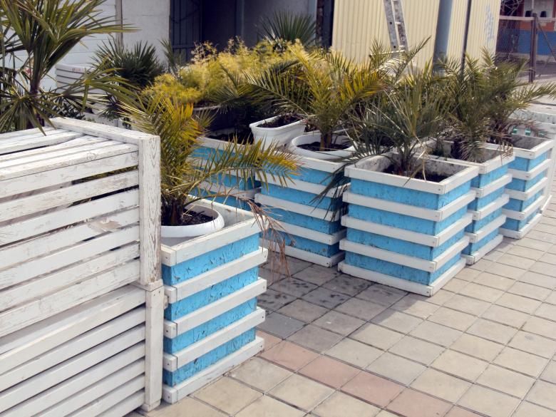 Free stock image of Plants in Flower Pots created by NomeVizualizzato