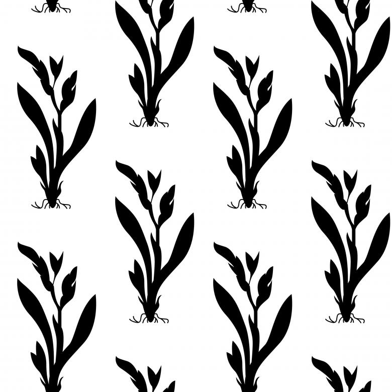 Free stock image of Floral Nature Seamless Vector Pattern created by Sos