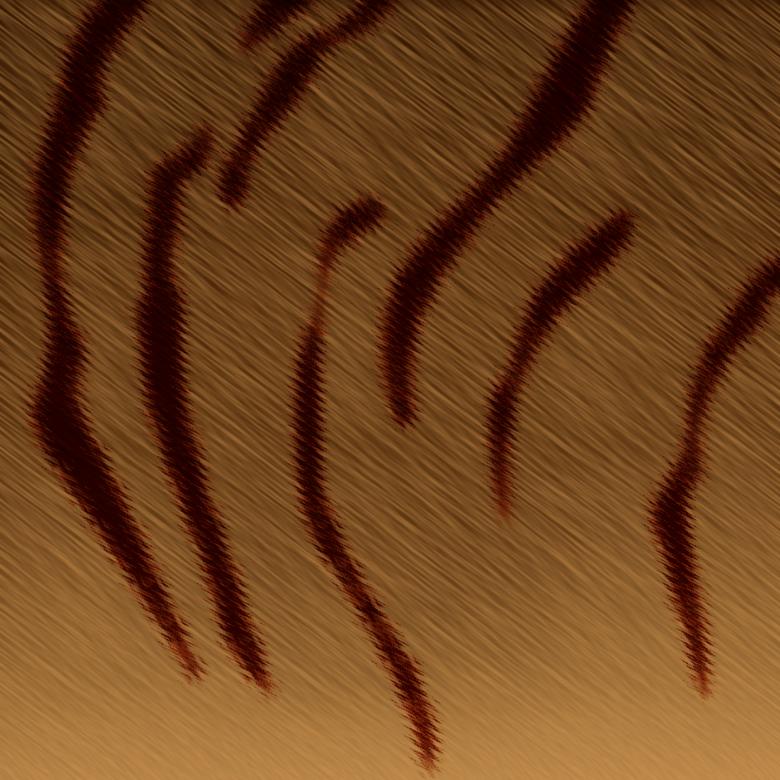 Free stock image of Tiger Fur Abstract Background created by Sos
