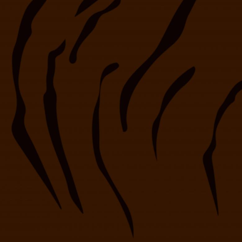 Free stock image of Dark Tiger skin and stripes created by Sos