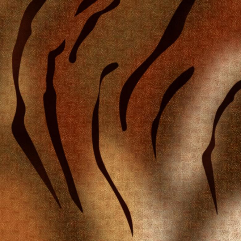 Free stock image of Tiger skin and stripes abstract background created by Sos