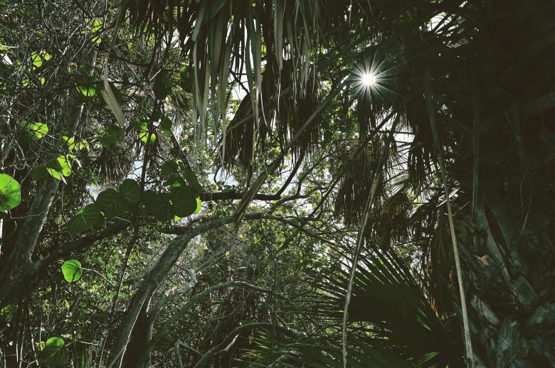 Free stock image of Sunlight Out created by Oleg