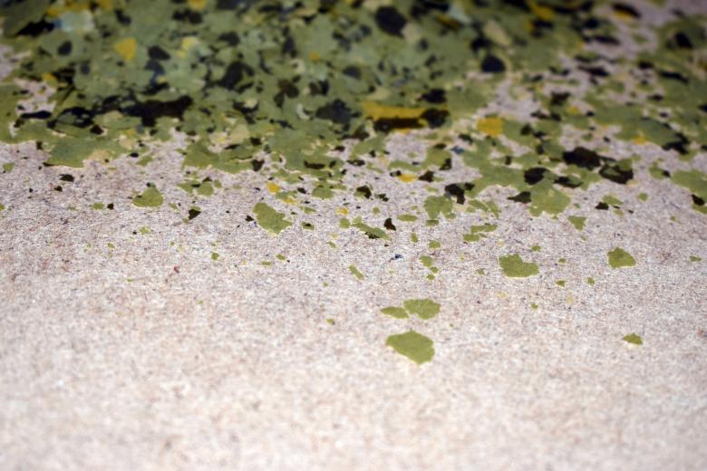 Free stock image of Green-coloured flakes created by NomeVizualizzato
