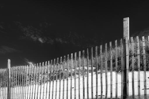 One more fence on the beach - Free Stock Photo