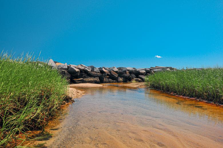 Free stock image of Peaceful Hideout created by Oleg
