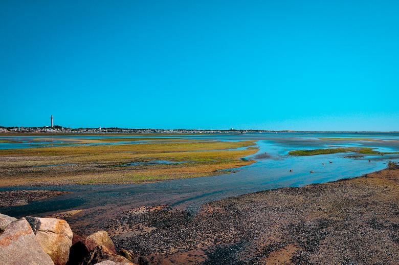 Free stock image of Summer on Cape Cod Massachusetts created by Oleg