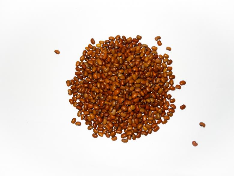 Free stock image of Red Cow Peas created by EBY ARACKAL VARKEY
