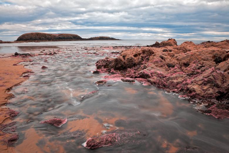 Free stock image of Annestown Beach - Tickle Me Pink created by Nicolas Raymond
