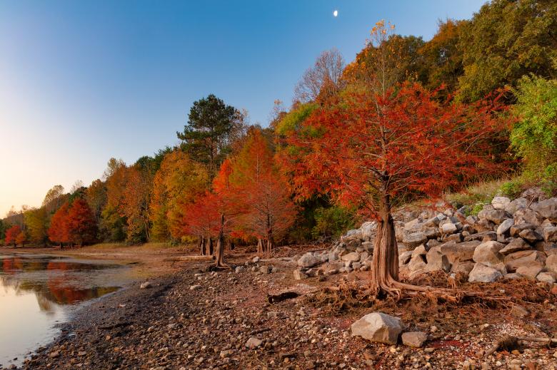 Free stock image of Autumn Twilight Cypress Bay created by Nicolas Raymond