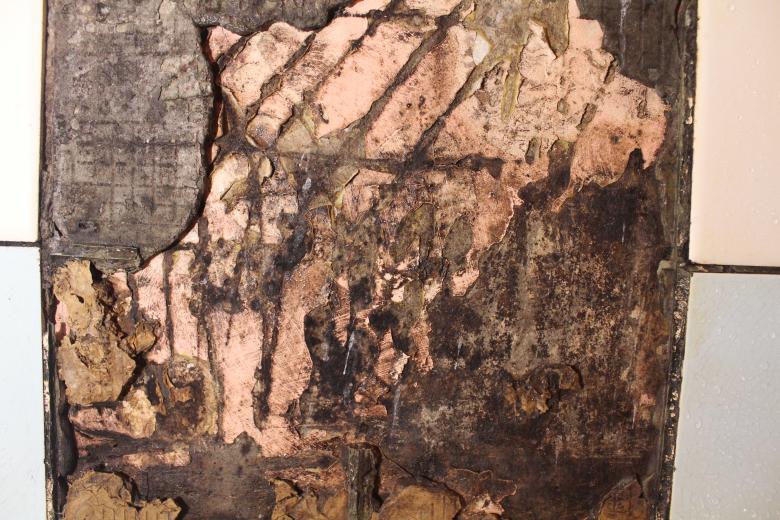 Free stock image of Grunge Textured Wall created by Artem 